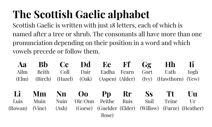 Flowchart showing Gaelic NLP pipeline